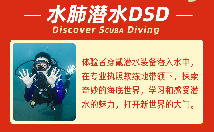 DSD潛水-產品概述