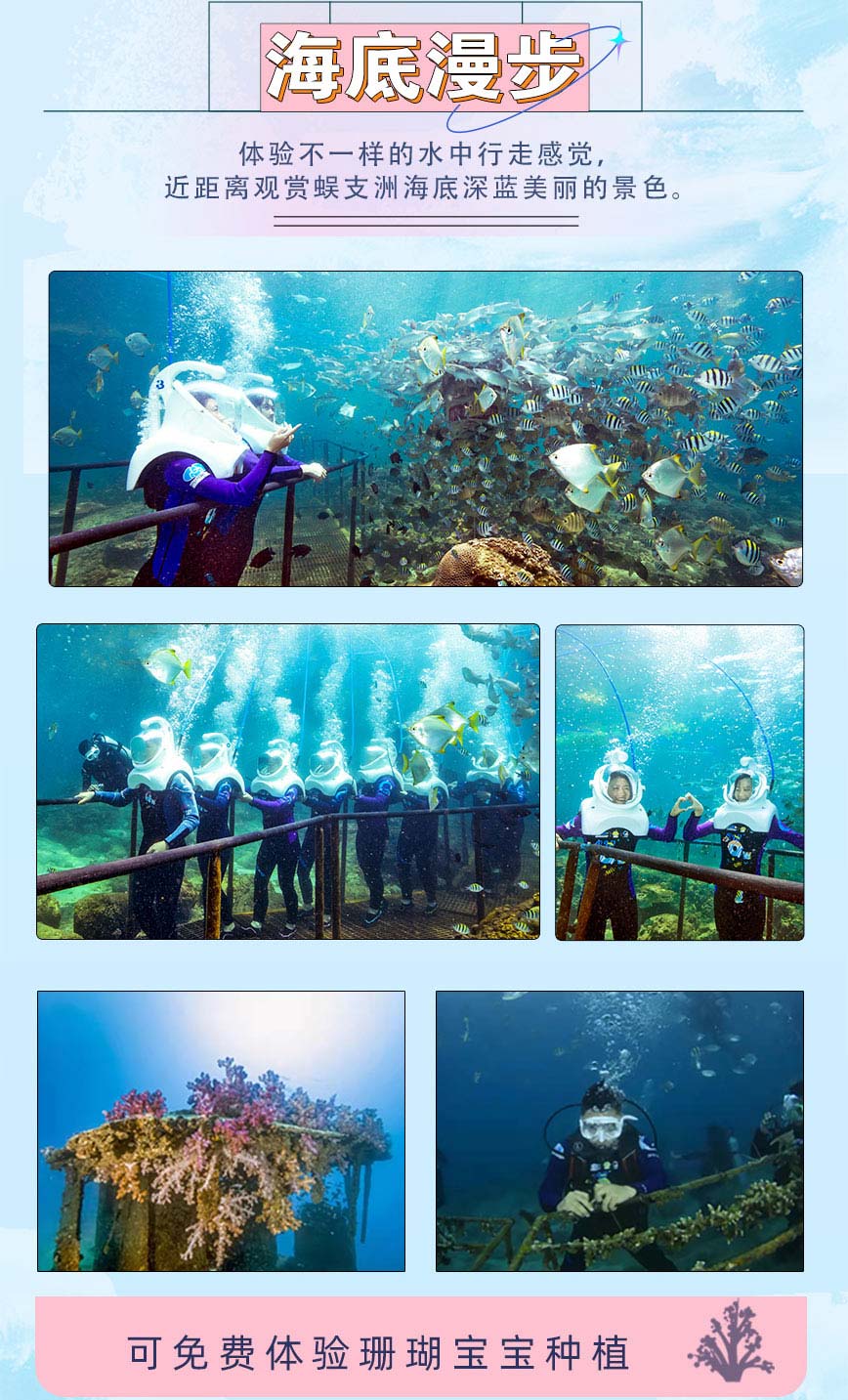 豪華環島潛-海底漫步