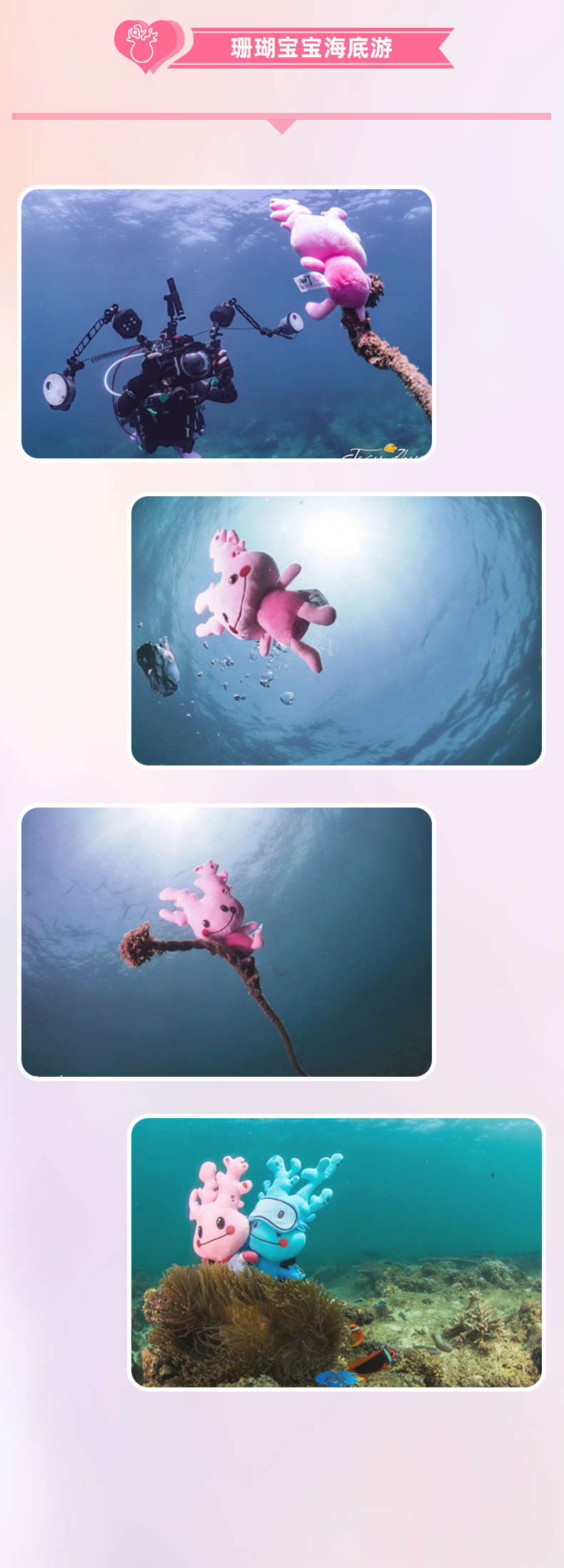 珊瑚寶寶海底游